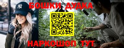 индика Наро-Фоминск
