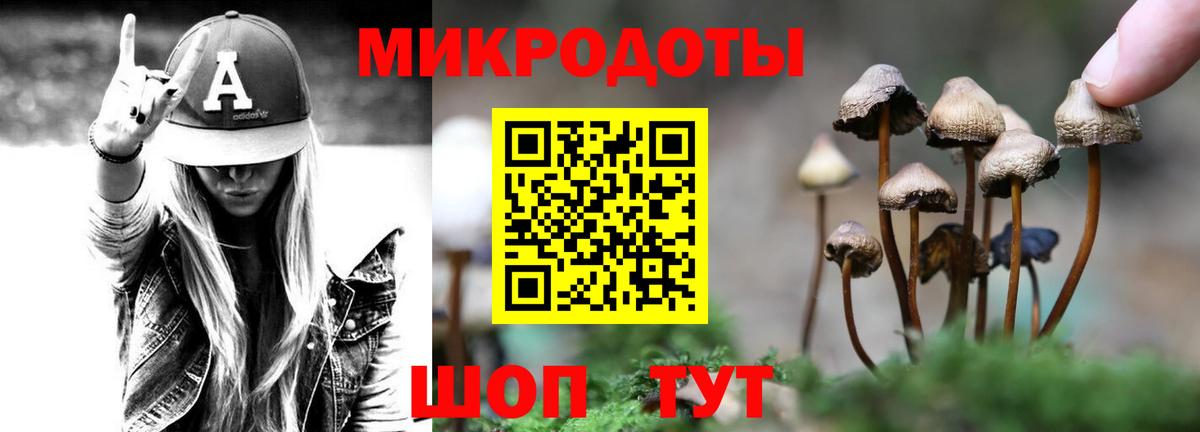 Псилоцибиновые грибы Magic Shrooms Будённовск